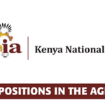 KENIA Hiring Senior Information & Communications Technology (ICT) Officer Salary: Kshs. 54,164 per month(minimum) Kshs. 72,901 p