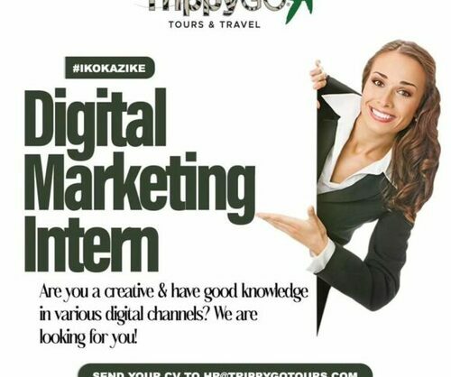 Digital Marketing Intern Needed
