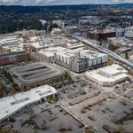 Junk Removal Redmond WA for Affordable and Professional Junk Hauling