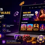 Build a Competitive Gaming Business Using Advanced Sweepstakes Casino Software