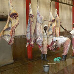 Watchdog Raises Concerns Over Unhygienic Slaughterhouses