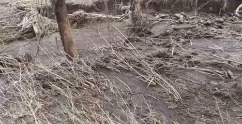Mudslides Kill Four Children, Three Adults In Gilgil