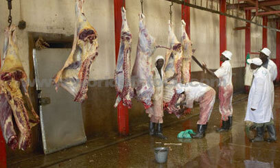Watchdog Raises Concerns Over Unhygienic Slaughterhouses