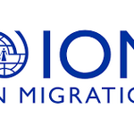 Consultant Needed At IOM