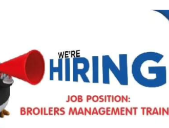 Kenchic Broilers Management Trainee Open For Application