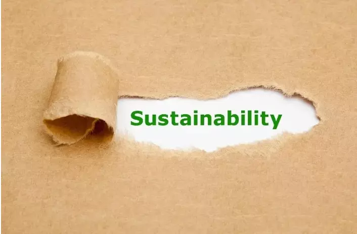 Sustainable Performance & AI-Accelerated Work: 5 Questions Every Leader Must Ask