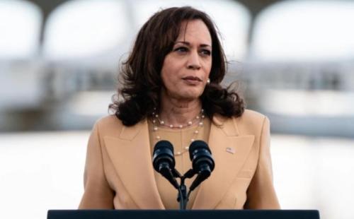 Bien, Zuchu And Ali Kiba Among US Vice President Kamala Harris' Favorite African Singers