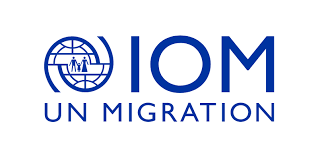 Consultant Needed At IOM