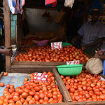 Sidian Gets Sh1.5bn Loan Boost For Women Traders