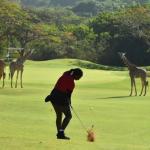 Wangari To Start Kenyan Charge At 2023 Magical Kenya Ladies Open