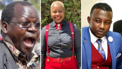 Lonyangapuo, Journalist Jane Ngoiri Land State Jobs As Ruto Makes New Appointments