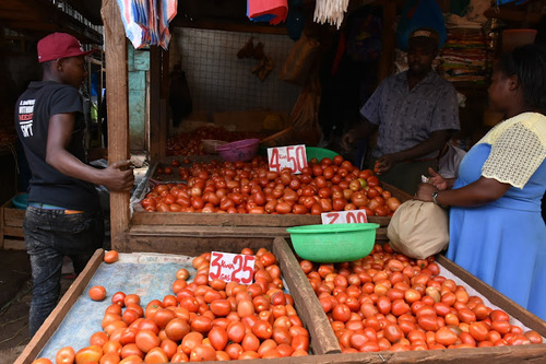 Sidian Gets Sh1.5bn Loan Boost For Women Traders