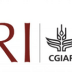 Senior Scientist – Gender And Impact Assessment Open At ILRI