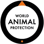 World Animal Protection Vacancies 2026