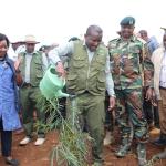 State Seeking Funds To Plant 15bn Trees, Says PS Kimotho