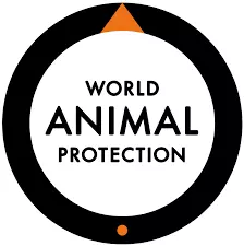World Animal Protection Vacancies 2026