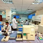What Makes a Medical Laboratory in Lahore Stand Out?