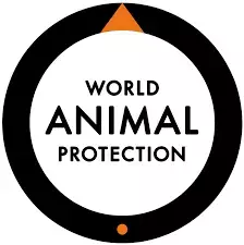 World Animal Protection Vacancies 2026