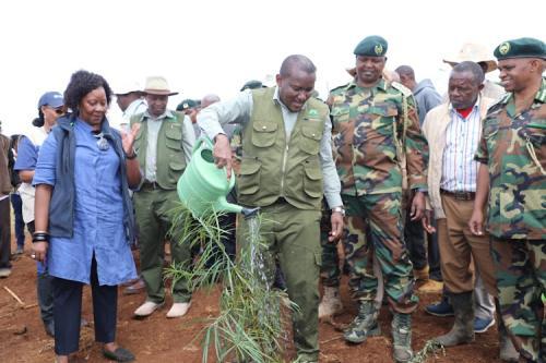 State Seeking Funds To Plant 15bn Trees, Says PS Kimotho