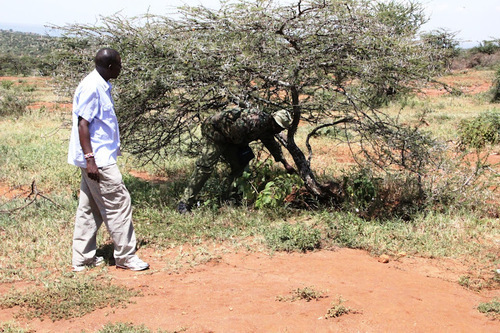 Are Ranches, Conservancies Fuelling Banditry, Cattle Rustling?