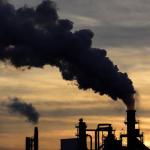 Businesses Should Take Climate Crisis Seriously And Cut Emissions