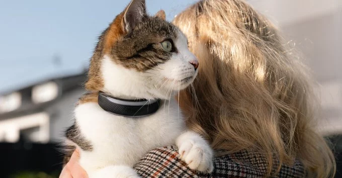 Pet Trackers Just Got Smarter With Health Insights