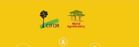 CIFOR-ICRAF Hiring Writer/ Editor Consultant