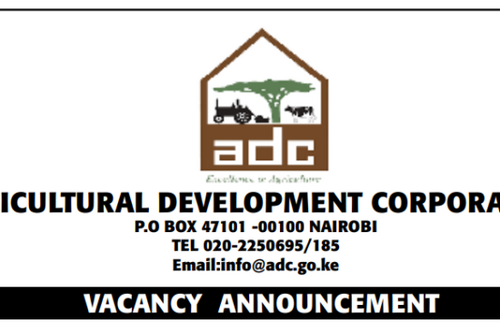 ADC Hiring Managing Director