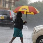 Rains Are Here! Farmers Get Busy