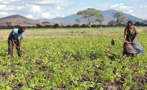 Migori Farmers Urged To Use Organic Fertilizers