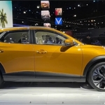 EV Maker Vinfast Still Worth More Than Ford And GM After Stock Tanks 19%