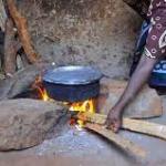 70 Per Cent Of Kenyans Are Using Firewood To Cook