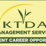5 Vacancies Open At Kenya Tea Development Agency [KTDA]