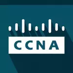 How CCNA Helps Build a Strong Networking Foundation?