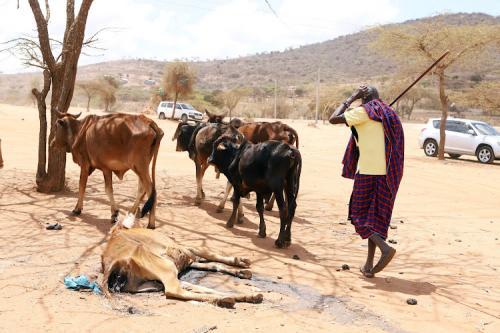 2.6m Livestock Deaths Reported Due To Prolonged Drought - NDMA