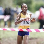Sandrafelis, Mutai Reign In Machakos As Cross Country Season Begins