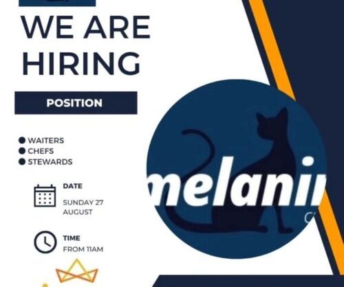 Melanin Hiring Waiters, Chefs And Stewards