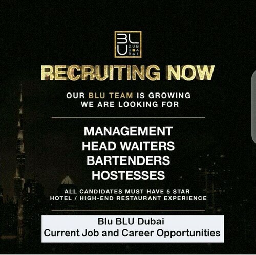 Job Opportunities at Blu BLU Dubai 2023: Blu Dubai Night Club