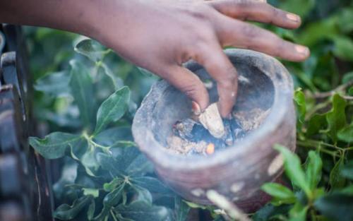 Consider This Before Taking Herbal Medicine, Doctors Warn Cancer Patients