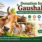 Donation for Gaushala: Support Cow Care & Rescue Efforts