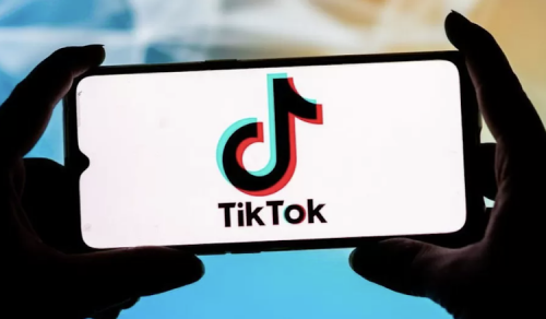 Canada Bans TikTok On Government Devices
