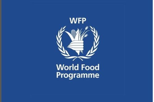 WFP Hiring Climate Insurance And Financial Inclusion Roster 