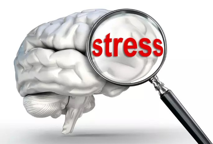 Chronic Job Stress Causes Brain Damage But 6 Steps Can Protect It