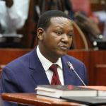 Foreign Affairs CS Alfred Mutua: We Shall Help Turkey With Coffee, Tea, Groundnuts