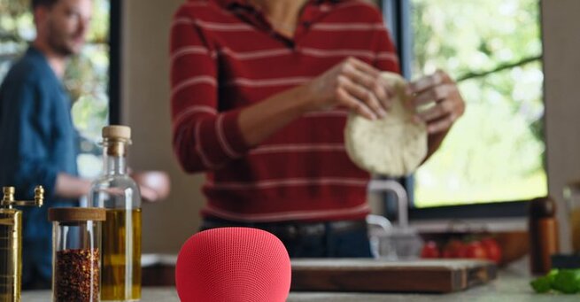 Hey Google, Meet Gemini: Voice Of Your Smart Home