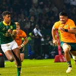 Moodie Becomes Centre Of Attention Against All Blacks