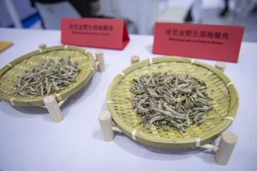 China Starts Regular Importation Of Kenyan Anchovies