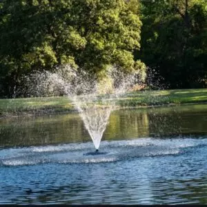1/2 HP Pond Fountain: Choosing the Right System for Your Pond