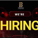 Black Stars Hiring : Waiters, Waitresses, Hostesses, Marketer And Manager