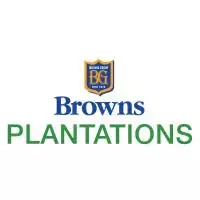 Browns Plantations Job Vacancies 2026